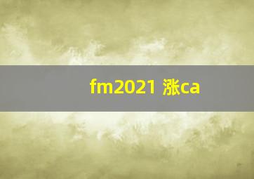 fm2021 涨ca